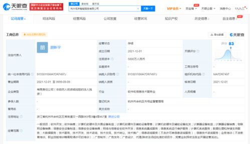 阿里新設智能服務公司，拓展大數(shù)據(jù)與信息技術(shù)咨詢業(yè)務